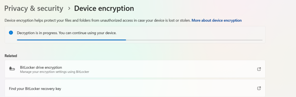 BitLocker Encrypted Windows Devices